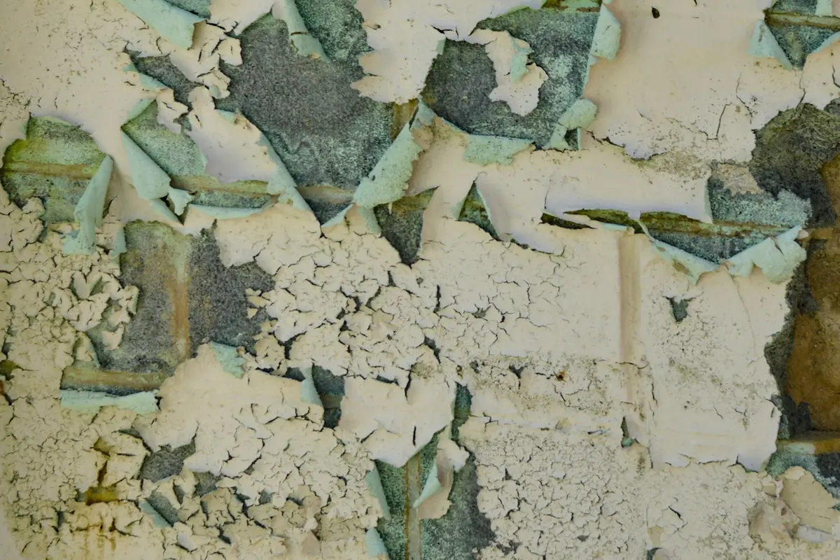Blown plaster and salt damage on a damp internal wall
